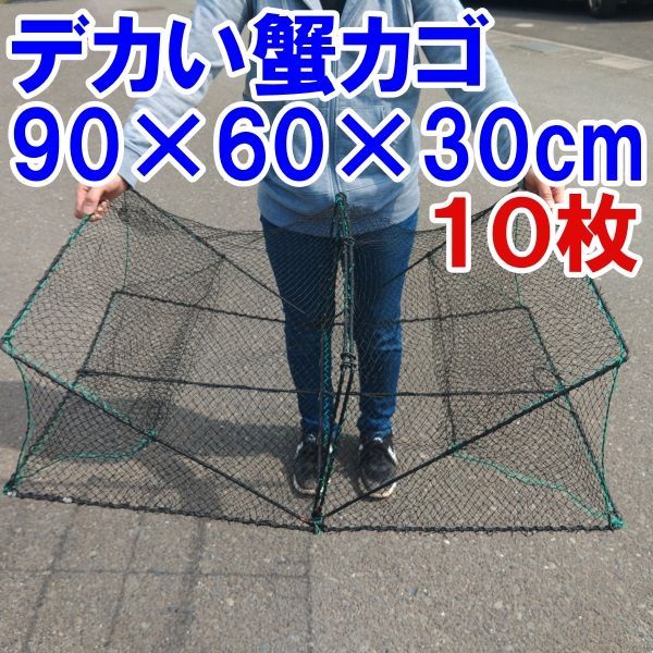 デカい！角型タイプ 10枚送料無料（九州沖縄別途追加送料