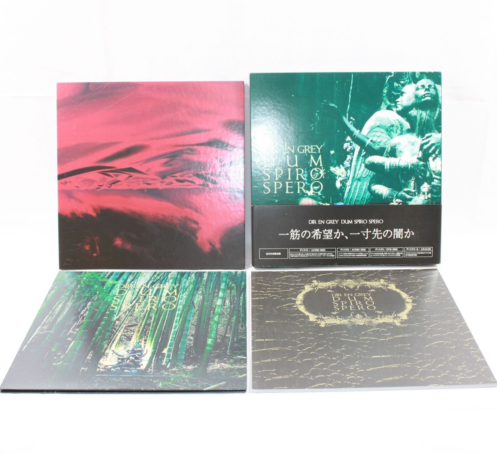CDまとめ DIR EN GREY DIR EN GREYを知って20年｜K(Kei)