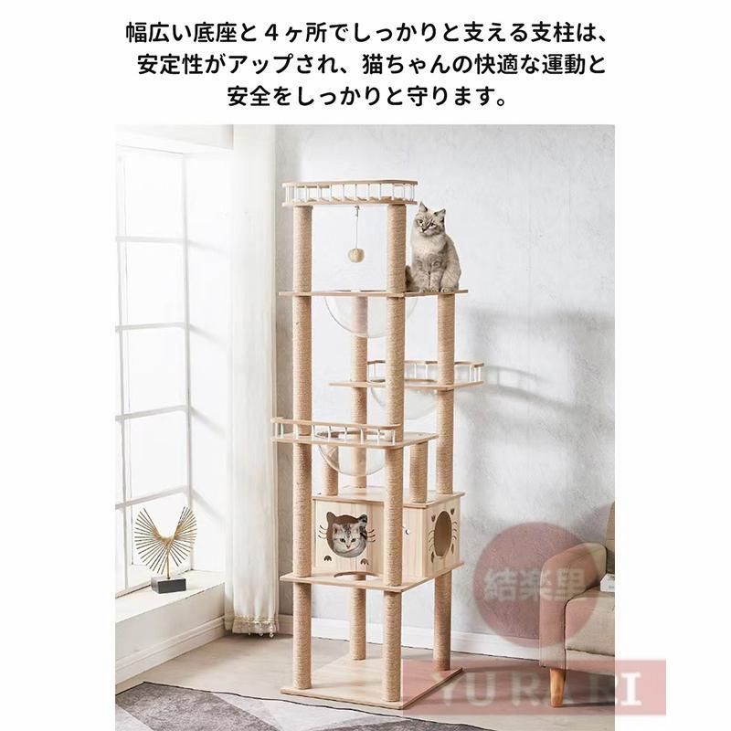 猫用 多頭飼い