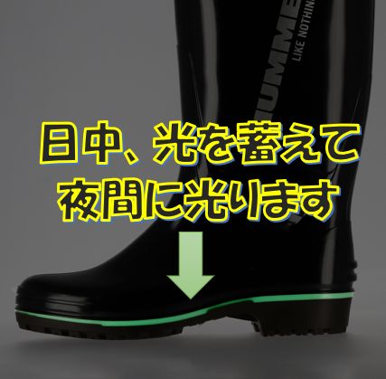 数量
