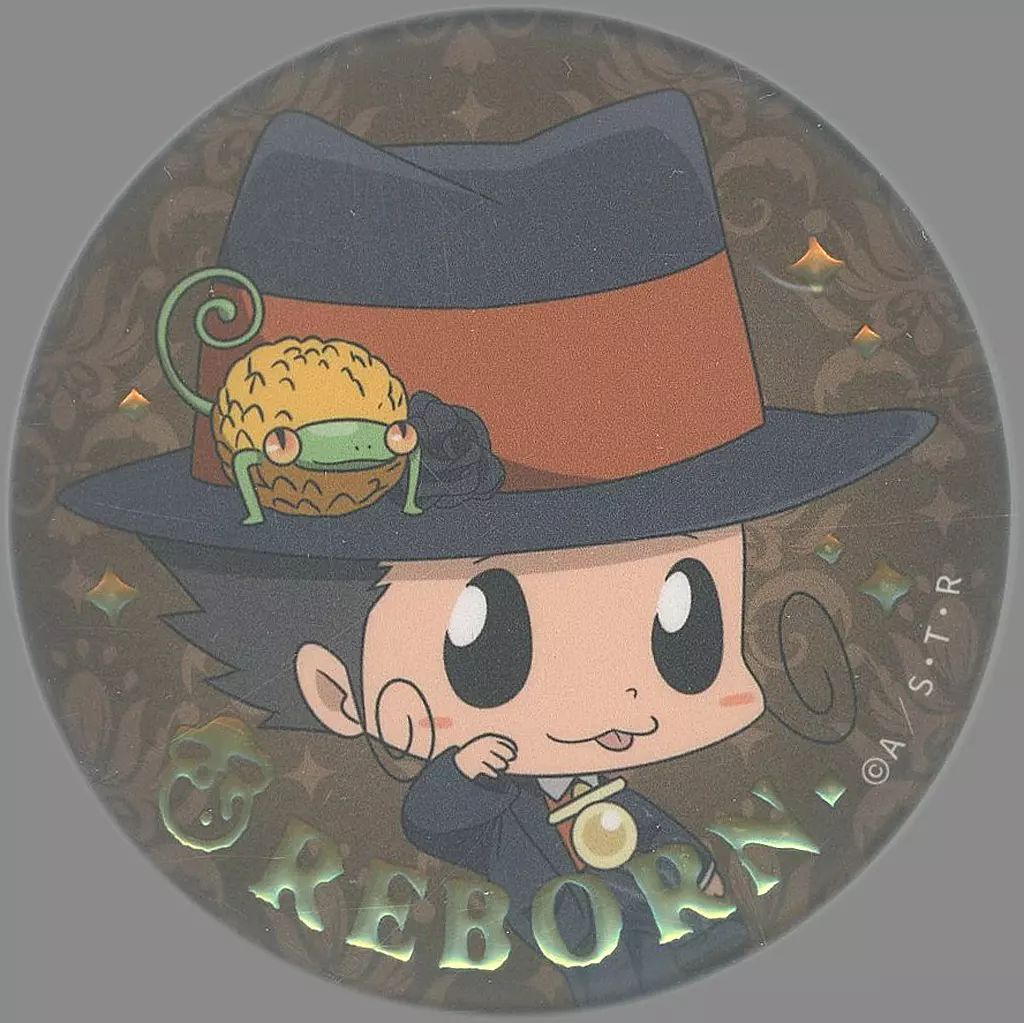 ピンズ・ピンバッジ・缶バッジ REBORN 中古】バッジ・ピンズ リボーン 「家庭教師ヒットマンREBORN! PUBLIC