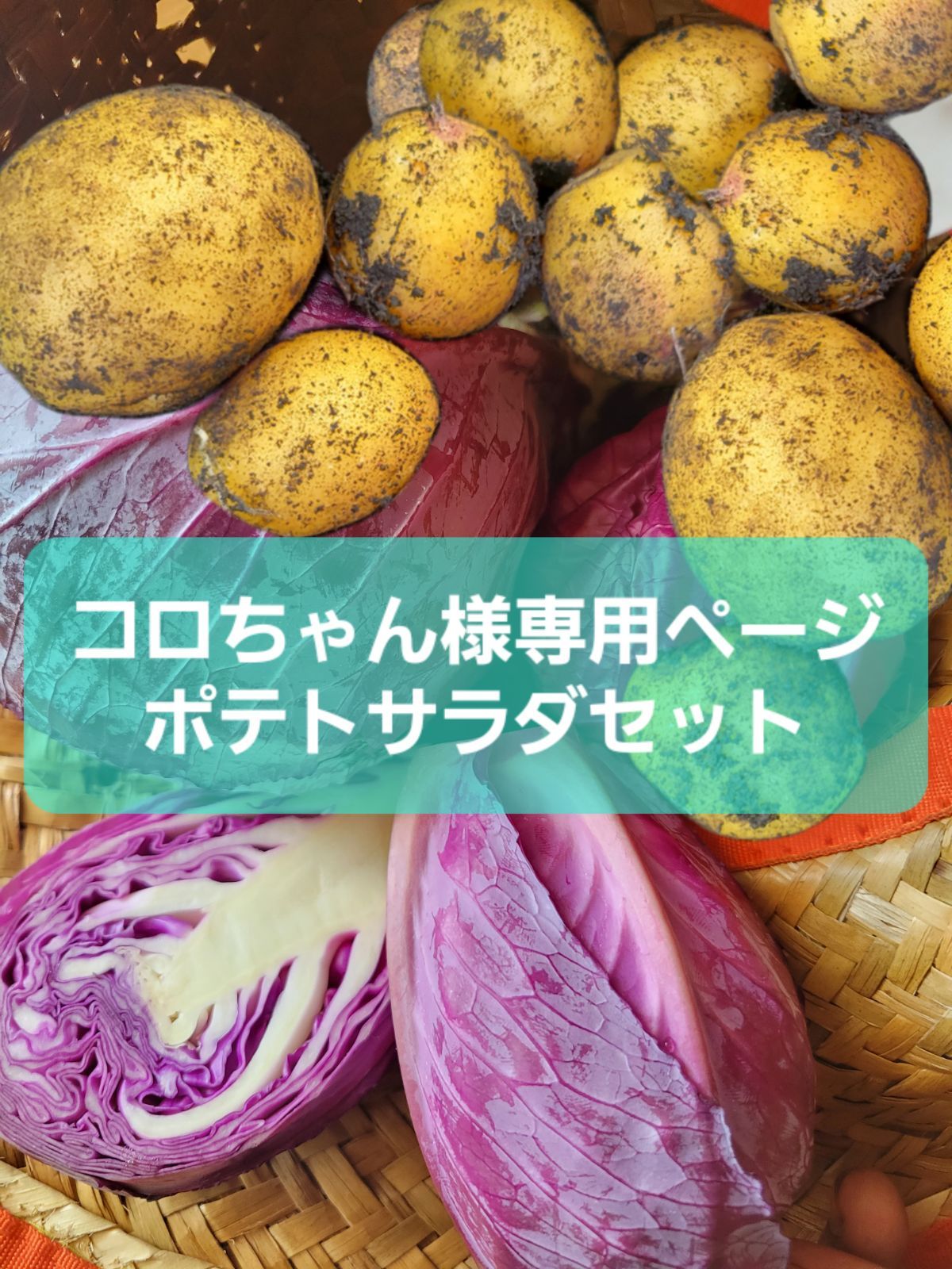 コロちゃん様専用 ポテトサラダセット - 多彩農園 - メルカリ