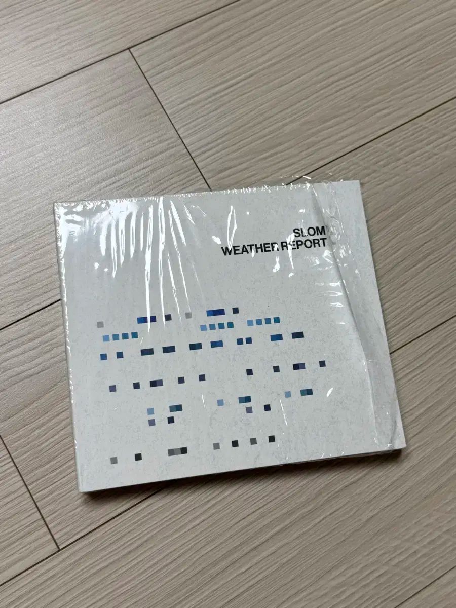 アニとジョゼフ・アルバースの版画とブラック・マウンテン・カレッジ