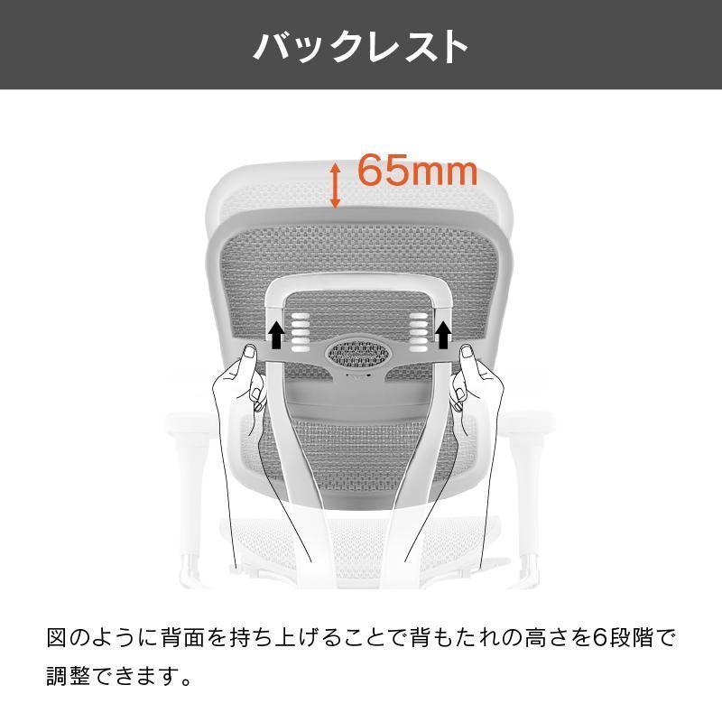 エルゴヒューマン2