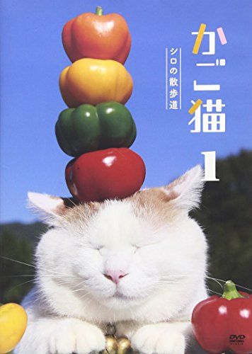 かご猫1 シロの散歩道 [DVD] かご猫1 シロの散歩道 [DVD](中古品) - メルカリ