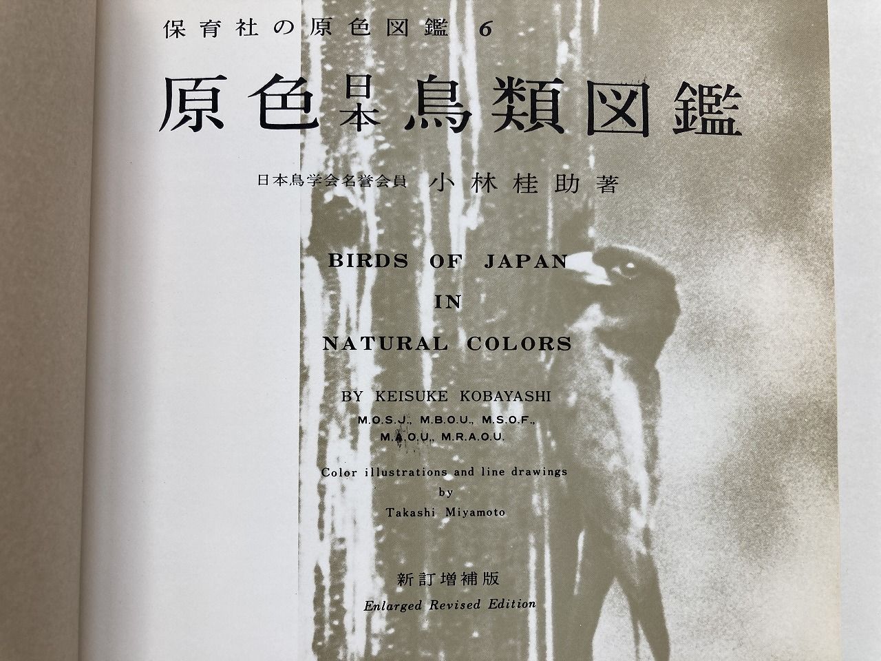 【送料込み】絶版本 保育社 標準原色図鑑全集 6冊 原色日本鳥類図鑑（保育社の原色図鑑6） - メルカリ
