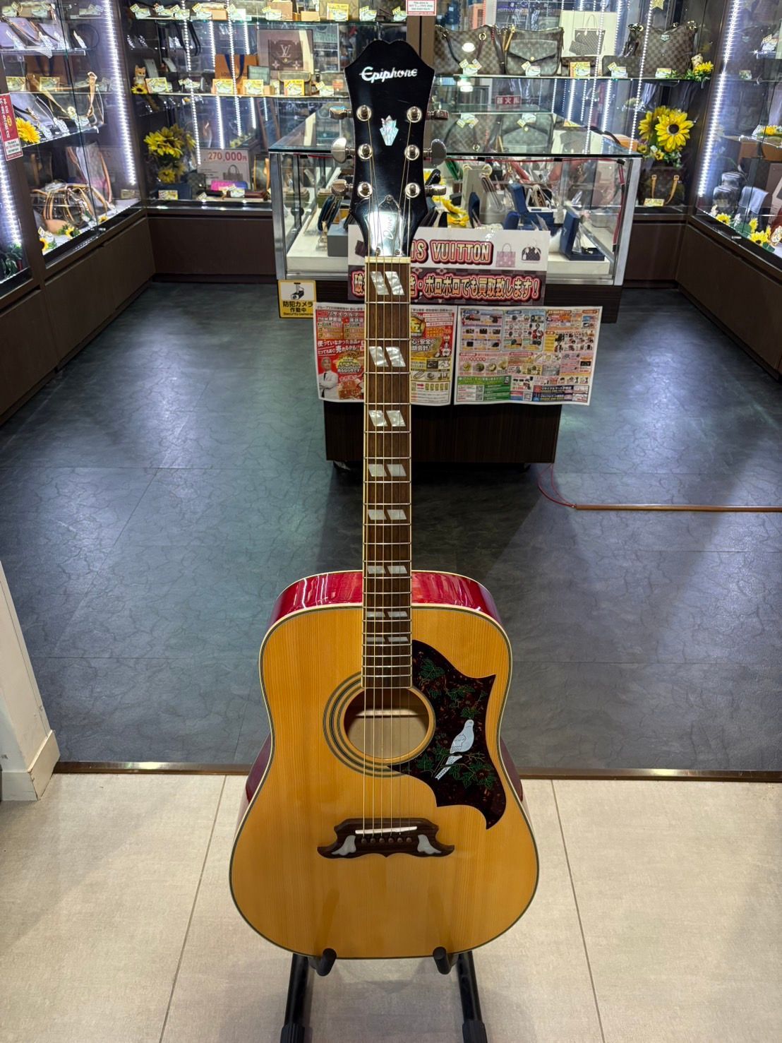 ◇Epiphone エピフォン アコースティックギター DOVE N ソフト