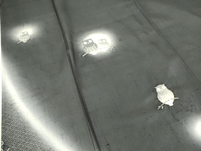 平和屋着物▽十日町 名門青柳謹製 赤城紬 訪問着 単衣 ふくろう 蛍暈し