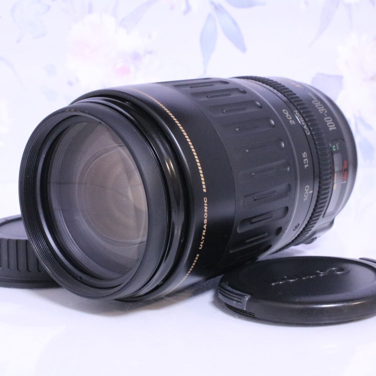 Canon キヤノン EFレンズ 100-300mm F4.5-5.6 USM☆イベントやスポーツ 