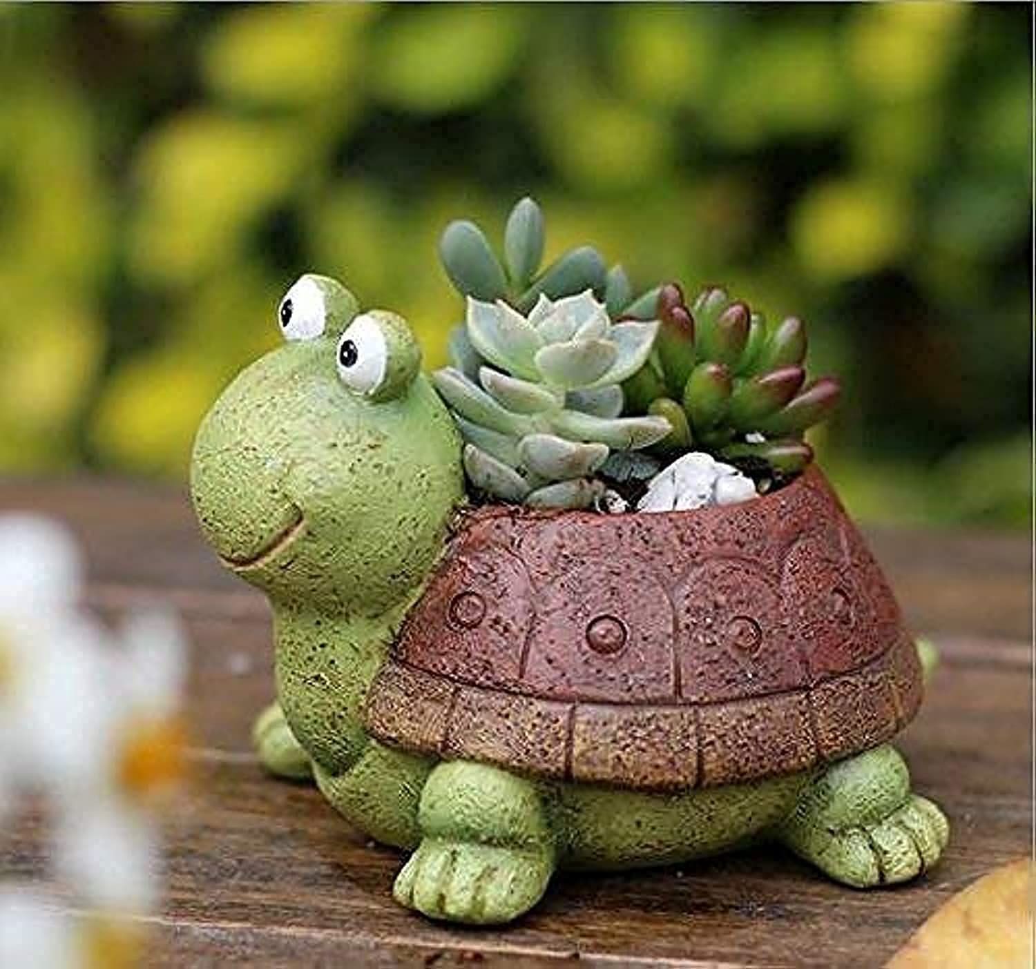 緑) (亀) 鉢 寄せ植え サボテン鉢 多肉植物鉢 おしゃれ フラワー