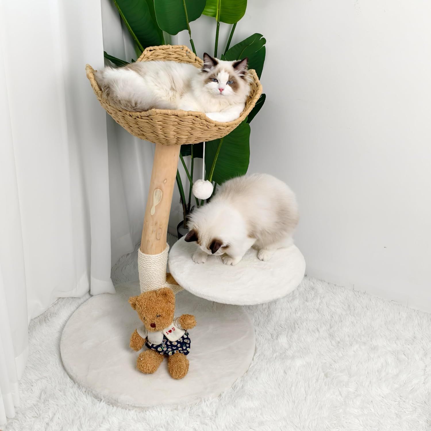 木製 低め