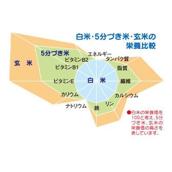 エムケー精工
