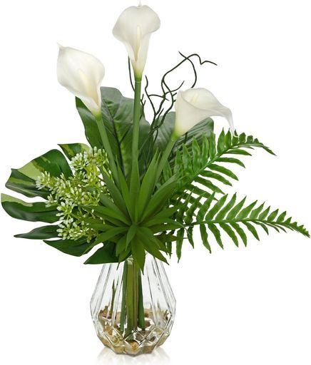 ショップ 【真作】松村呉春/雁図/雪中飛雁図/掛軸/名家伝来/AA-230