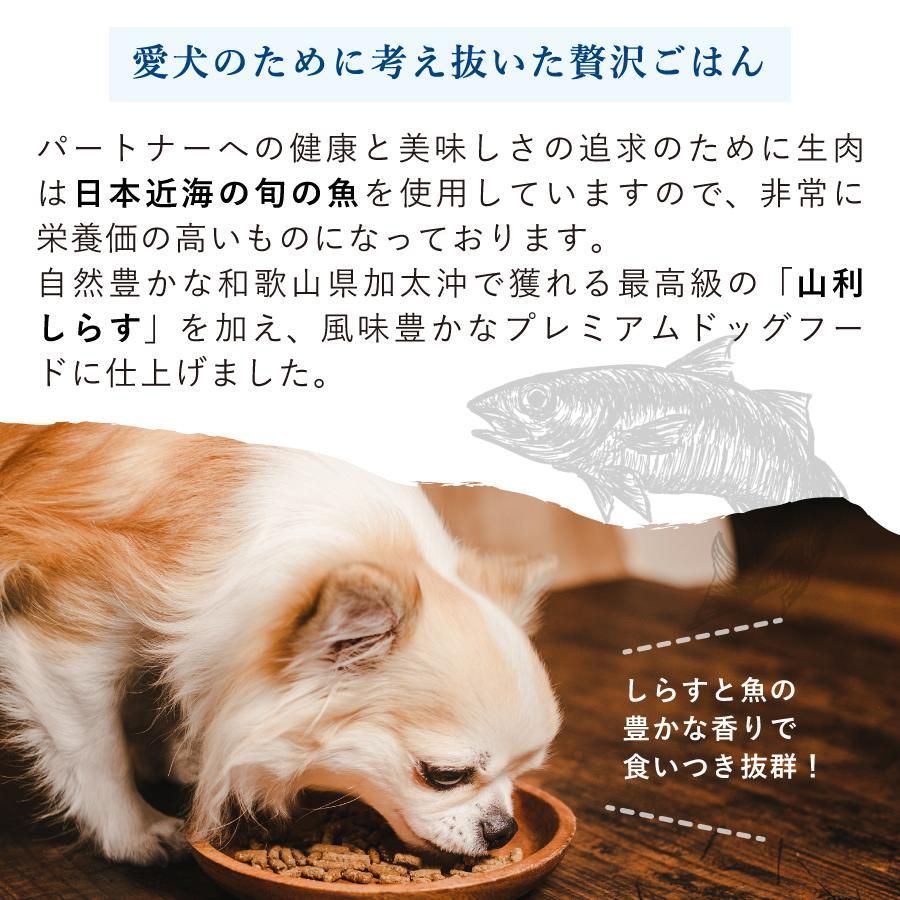 ギフトナー フィッシュレシピ