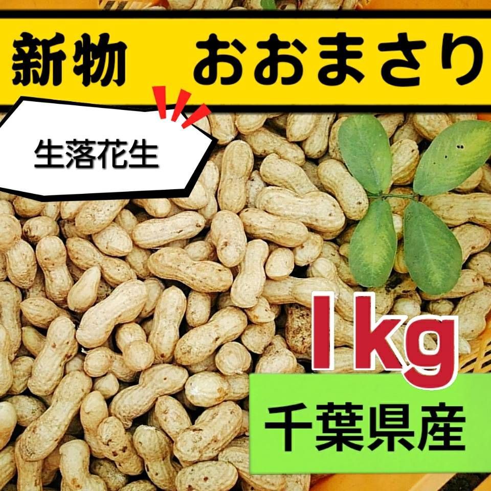 農家直送千葉県産落花生7kg - 野菜