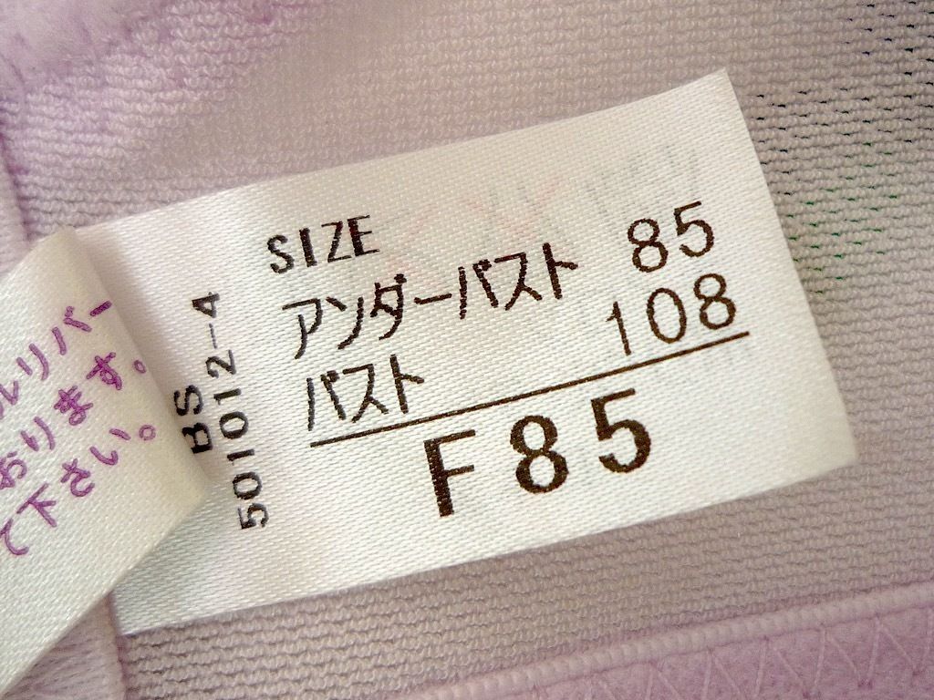 シャンデール ベル 最高級補正下着 ブラジャー ピオニーパープル F85