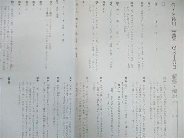 SAPIX 小6 サピックス GS特訓 国語 通年セット 【計6回分】 2021 025S2D SAPIX 小6 サピックス GS特訓 国語 通年セット 【計6回分】 2021
