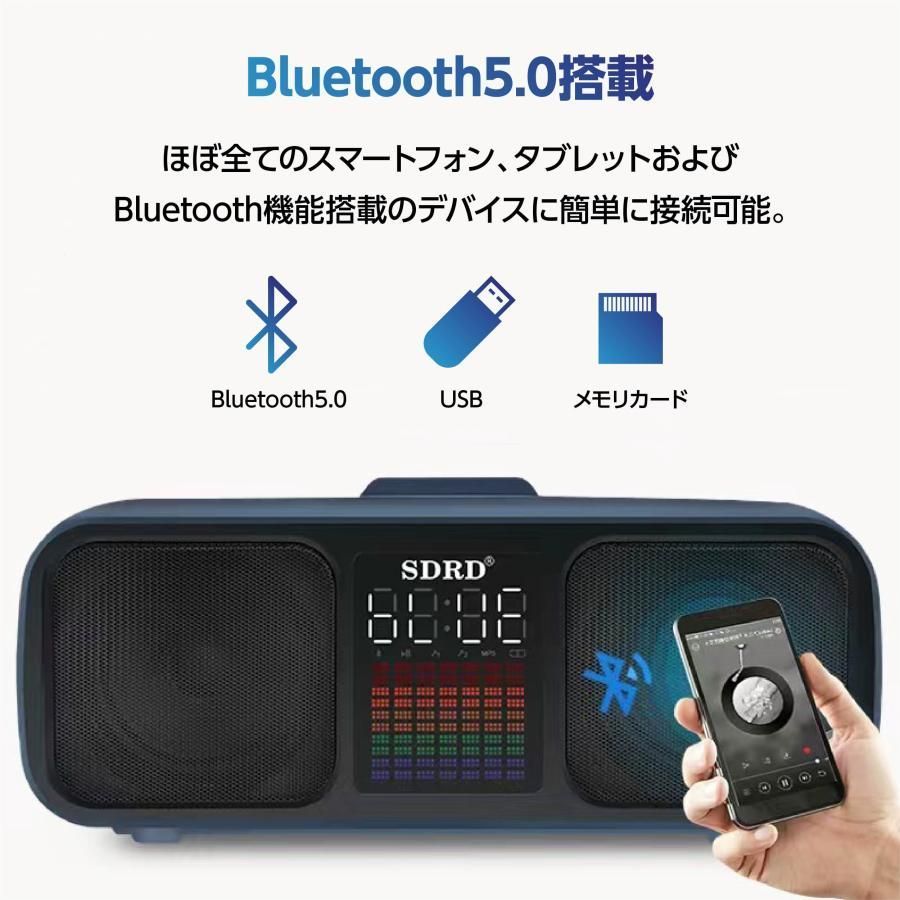 ❤自宅でカラオケ練習OK❣プロが練習用にも使用する本格派♪❤カラオケマイク ❤自宅でカラオケ練習OK❣プロが練習用にも使用する本格