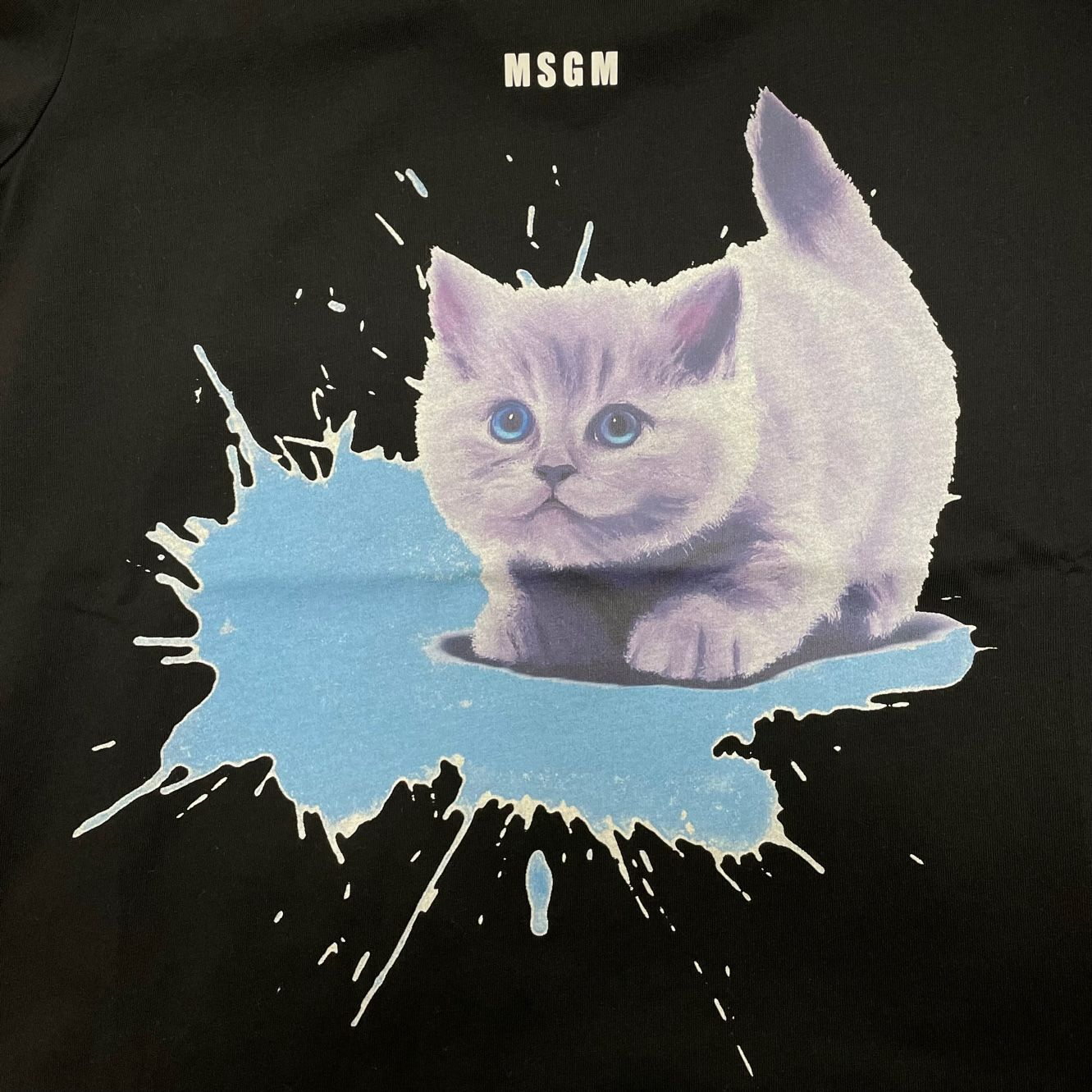定価29700円 国内正規 未使用 MSGM CAT SPLASH グラフィックプリント T  