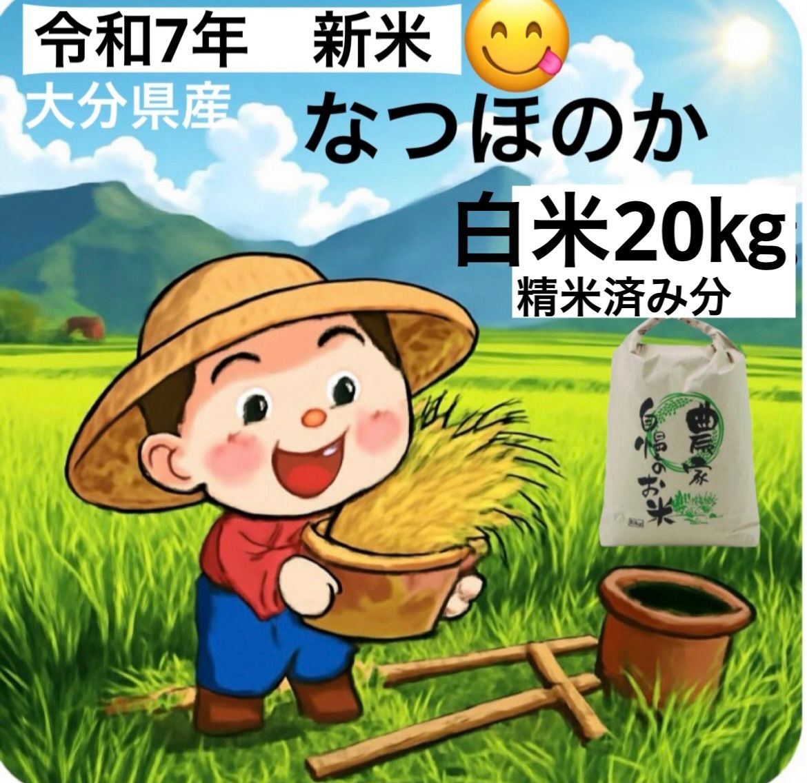 メルカリShops 令和7年 新米 大分県産なつほのか 白米20㎏キロ 精米済み分