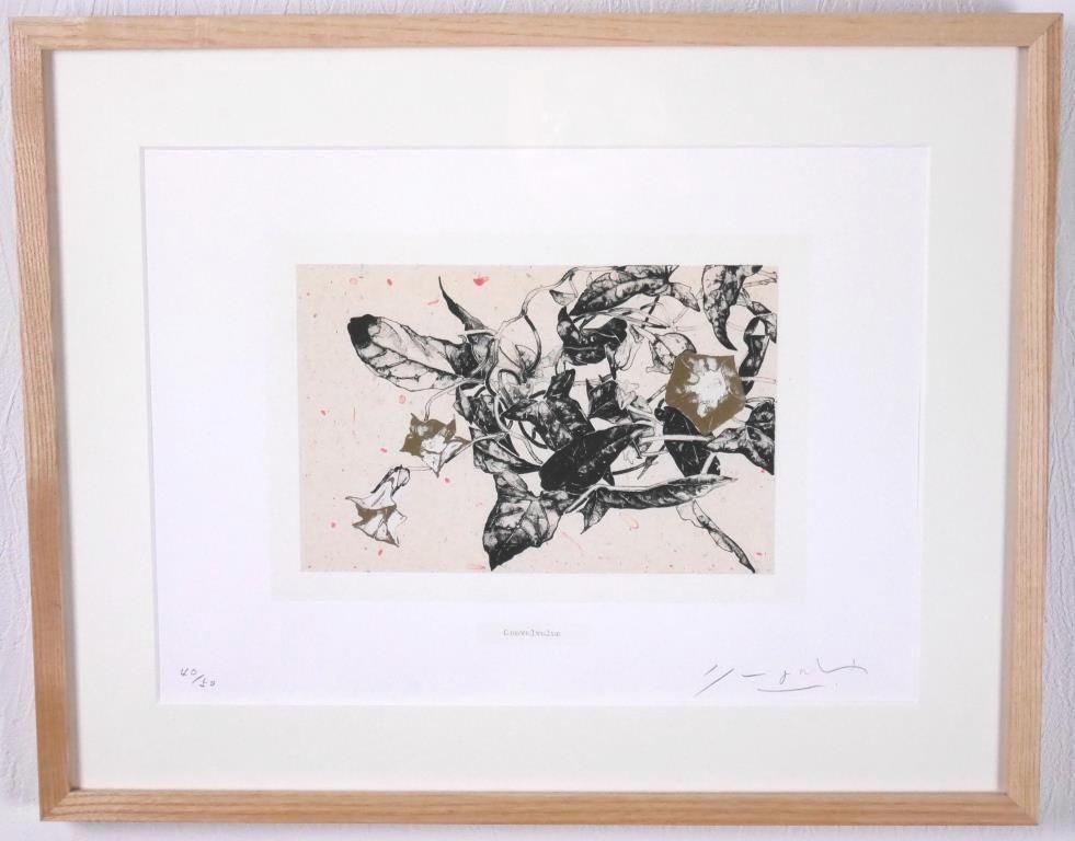 山口真祐『西洋昼顔』◇リトグラフ◇直筆サイン有◇人気版画家！個展