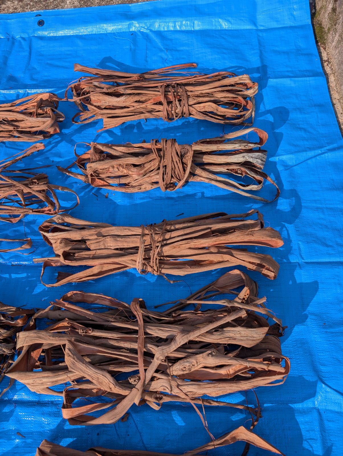 天然山葡萄の蔓2 採集状態で保存2.4キロ令和2年産 NEXPOTALLINN_EU