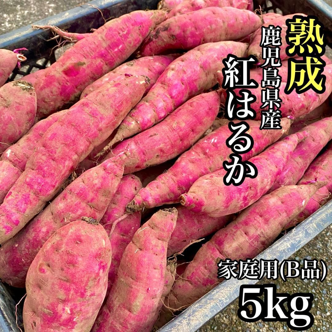 通販大特価茨城県産紅はるかSサイズ60キロ　じゅん様専用品 野菜