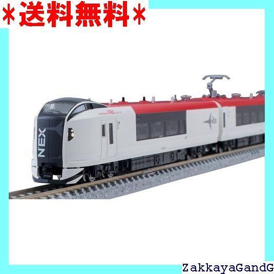 たま出品 ティーポット 全4色 | 光泉窯 -kosengama-