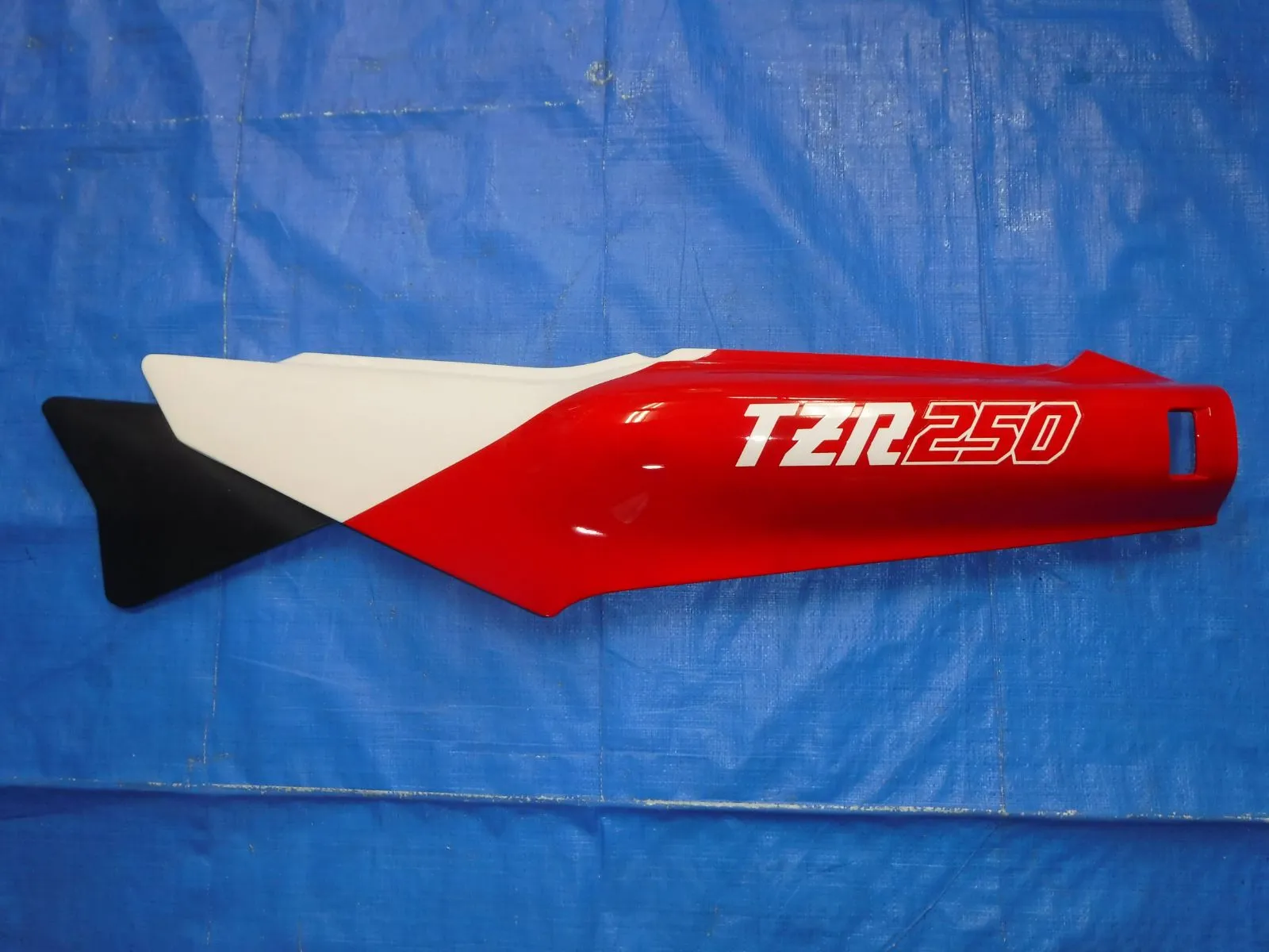 TZR250(1kt)とﾋﾞｷﾆｶｳﾙ TZR250 1KT カウル ⁄ お宝とバイクとetc・・・