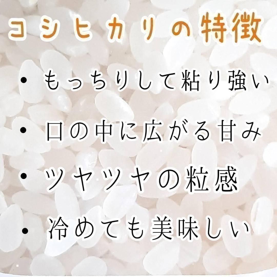 特別セール！玄米限定 令和3年 埼玉県産コシヒカリ 玄米 30kg 美味しい