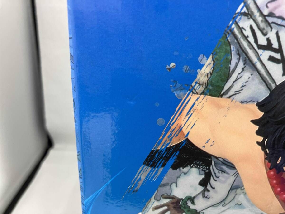 未使用/未開封品】 D賞 ポートガス・D・エース 大海賊百景 一番