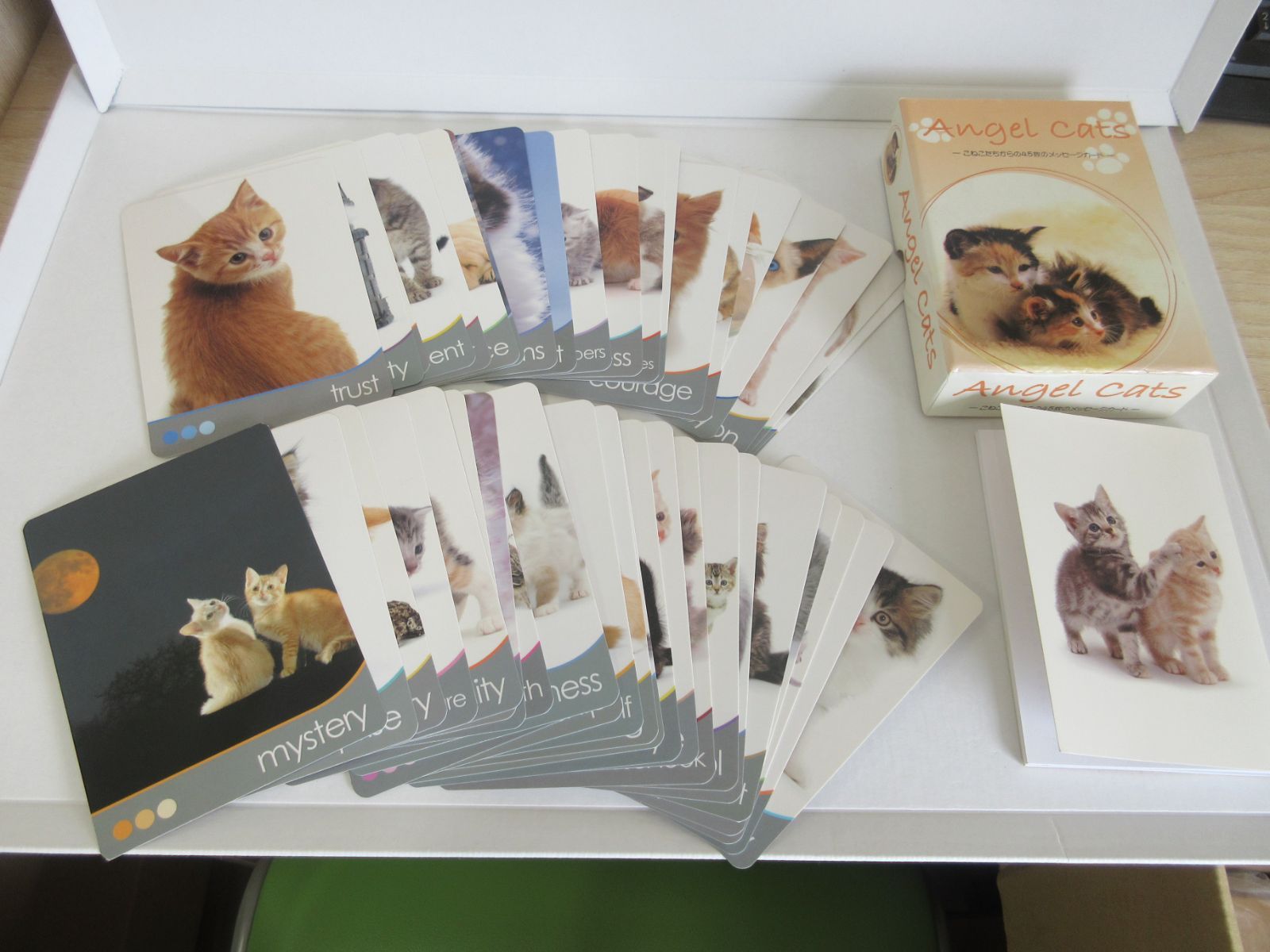 未開封】Angel Cats-こねこたちからの45枚のメッセージカード-