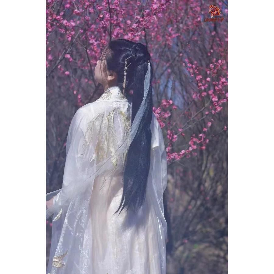 カッコ 可愛い 上質 華やか 漢服 チャイナ服 レディース 中華衣裳 皇后 貴妃 中国古代服装 中華ドラマ 時代劇 コスチューム 白に金色な刺繍 鳳凰 翼 蓮 BJ0903ML05