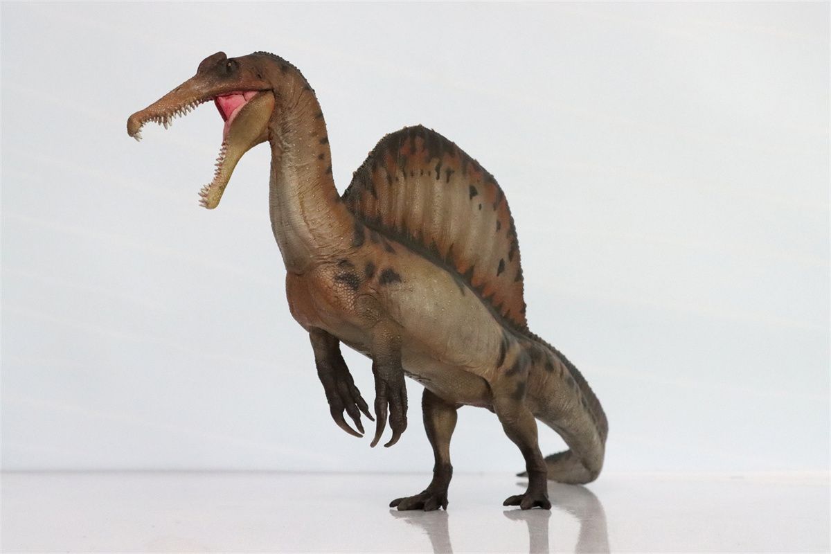 即納！訳あり！PNSO 恐竜博物館シリーズ スピノサウルス 模型 フィギュア 即納！訳あり！PNSO 恐竜博物館シリーズ スピノサウルス 模型
