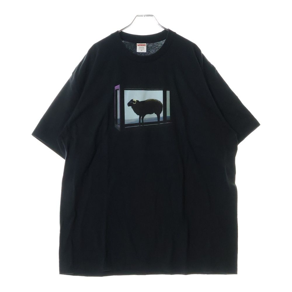 【国内発送・関税なし】25SS Supreme Damien Hirst Tee Supreme Damien Hirst Tee White Men's - SS25 - US