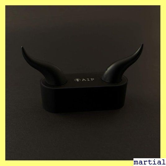 ☆人気商品☆ AIP EAR DEVIL AP-TW55H-B 黒 完全ワイヤレスイヤホン