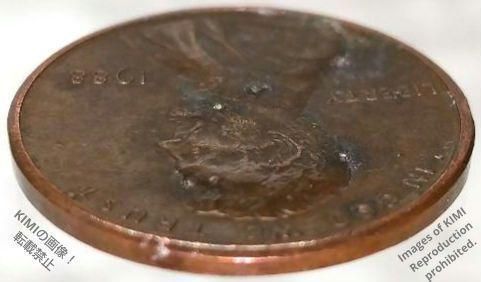 1セント硬貨 1988 アメリカ合衆国 リンカーン 1セント硬貨 1