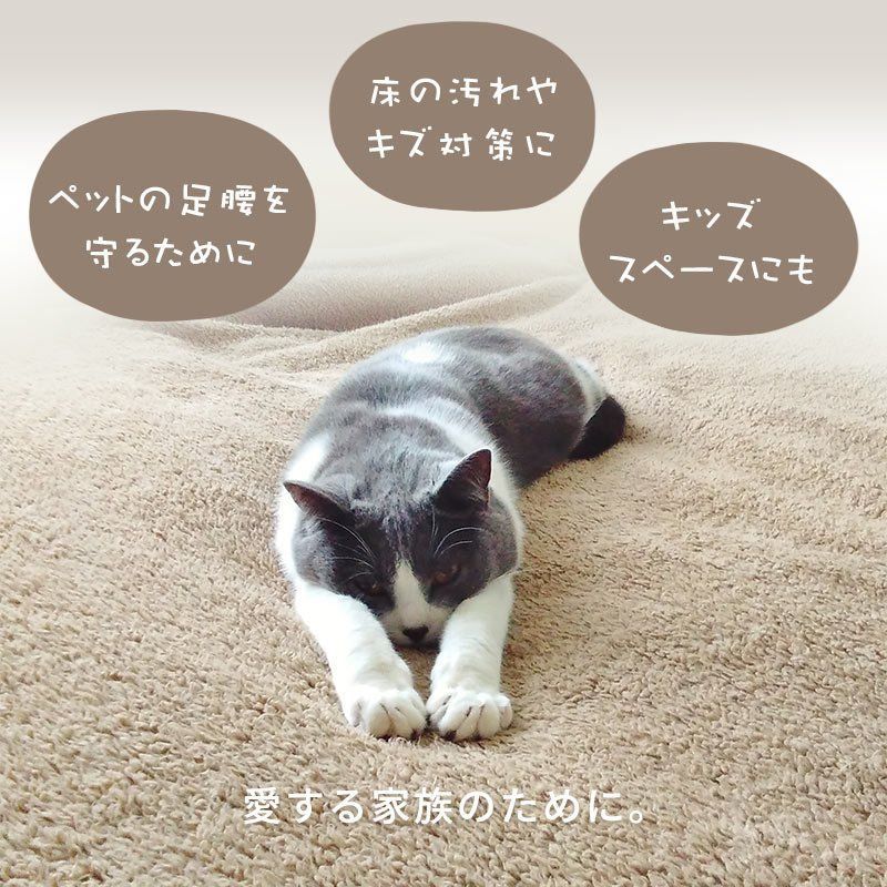 江戸間6畳