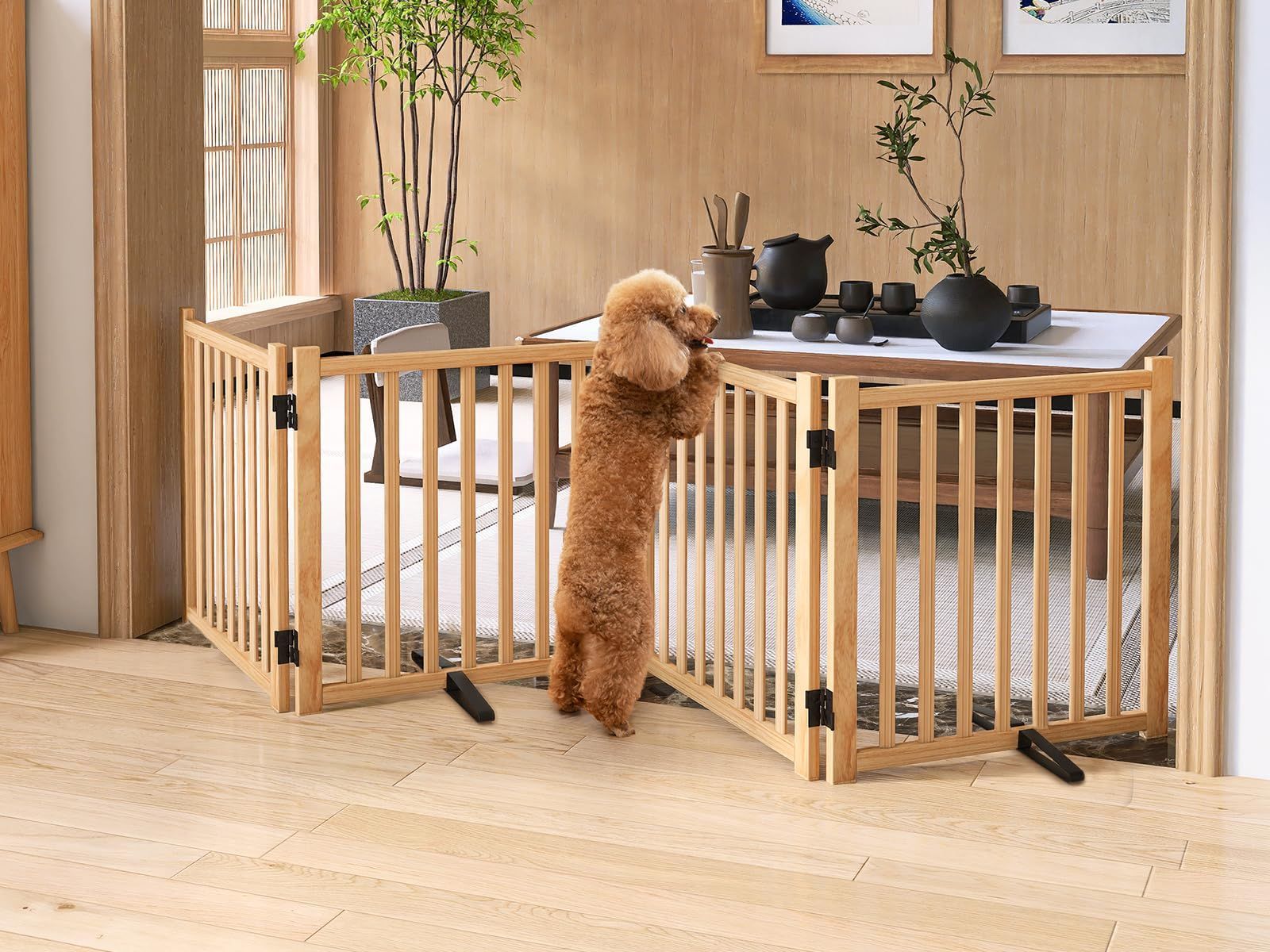 中型犬 脱走防止