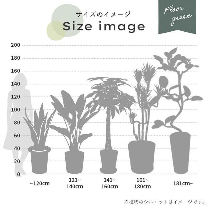 フェイクグリーン 大型 抗菌 消臭 観葉植物 フェイク 光触媒 人工観葉植物 オリーブ 造花 おしゃれ お祝い 鉢 植木 葉 枝 木 室内 玄関 オフィス 爽やか シンプル フェイクグリーン オリーブ ツリー 約120cm YUZUMIYA_COM