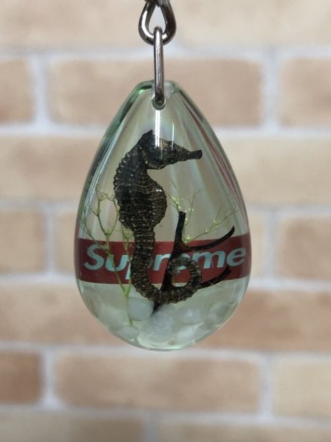 【中古】 SUPREME シュプリーム Seahorse Keychain タツノオトシゴ キーホルダー キーチェーン 緑系  111394138