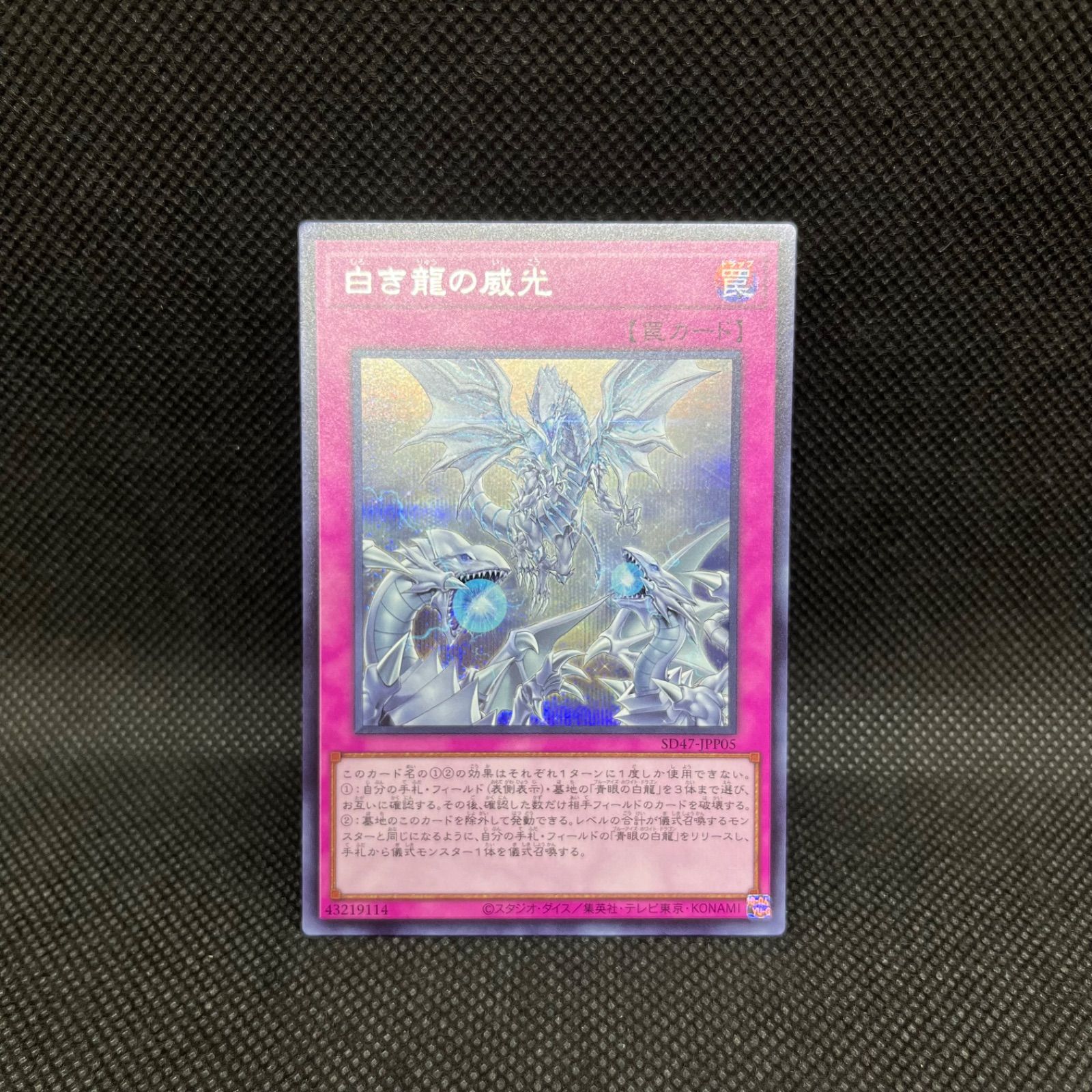 遊戯王 白き霊龍 旧アジア シークレット 白き霊龍【シークレット】{SHVI-JP018}《モンスター》