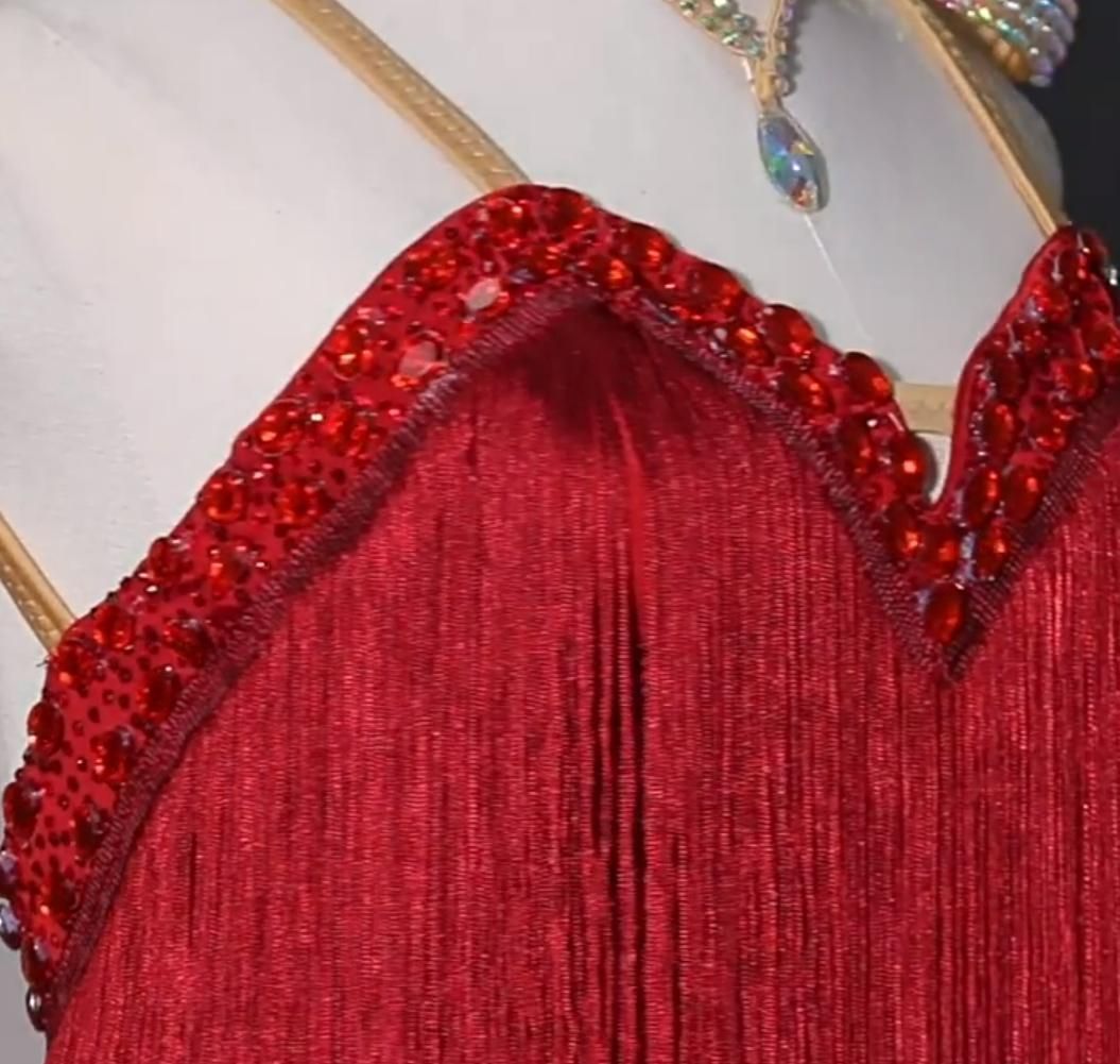新品未使用ラテンワンピースドレス 社交ダンス衣装 刺繍 ワイン 新品未使用ラテンワンピースドレス 社交ダンス衣装 刺繍 ワイン