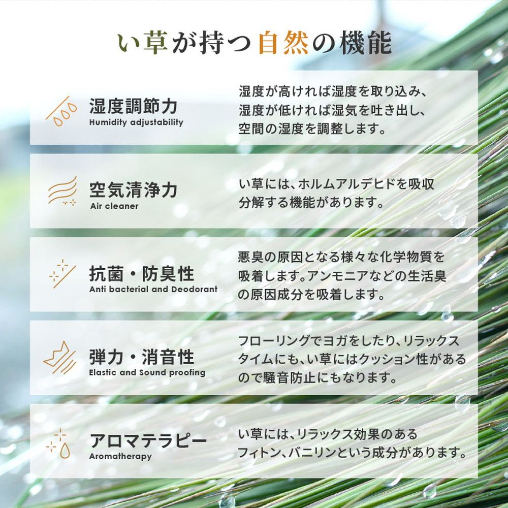 本間4.5畳
