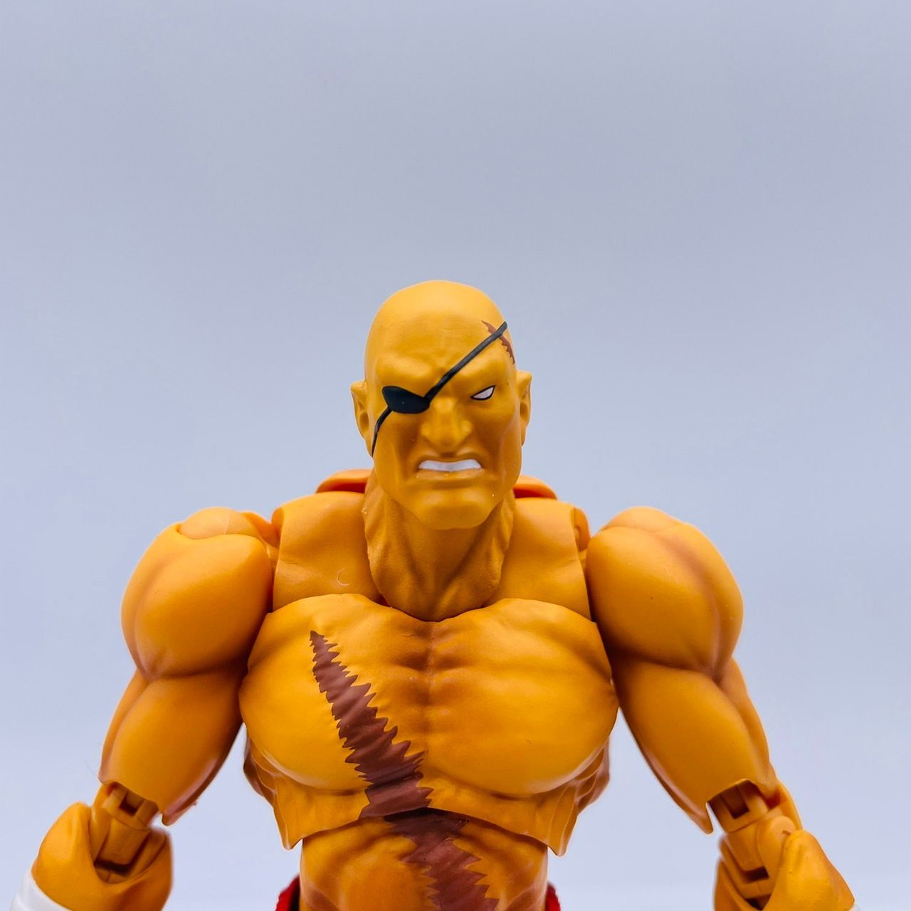 SHFiguarts サガット ストリートファイターV フィギュアーツ FIG]S.H.