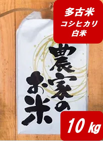 令和６年産 千葉県多古町産コシヒカリ白米 多古米 10㎏ 米 美味しいお米 10キロ