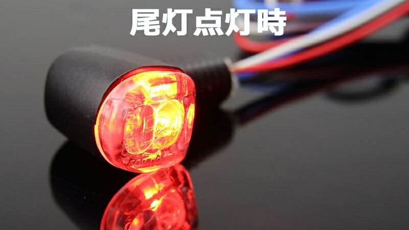 NANO ウインカー＆テール LED コンビランプ BRIGHTFACE_UK