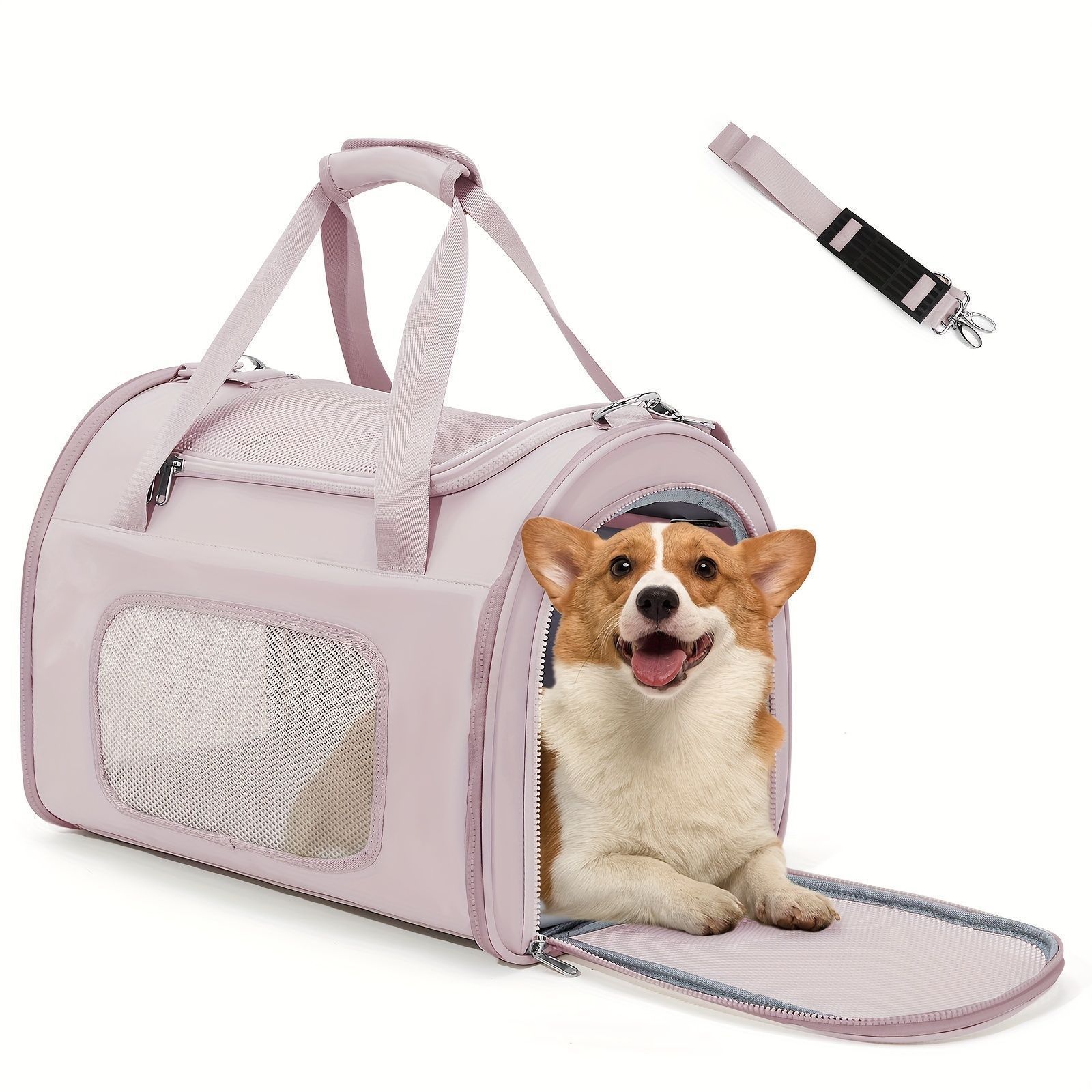 中型犬