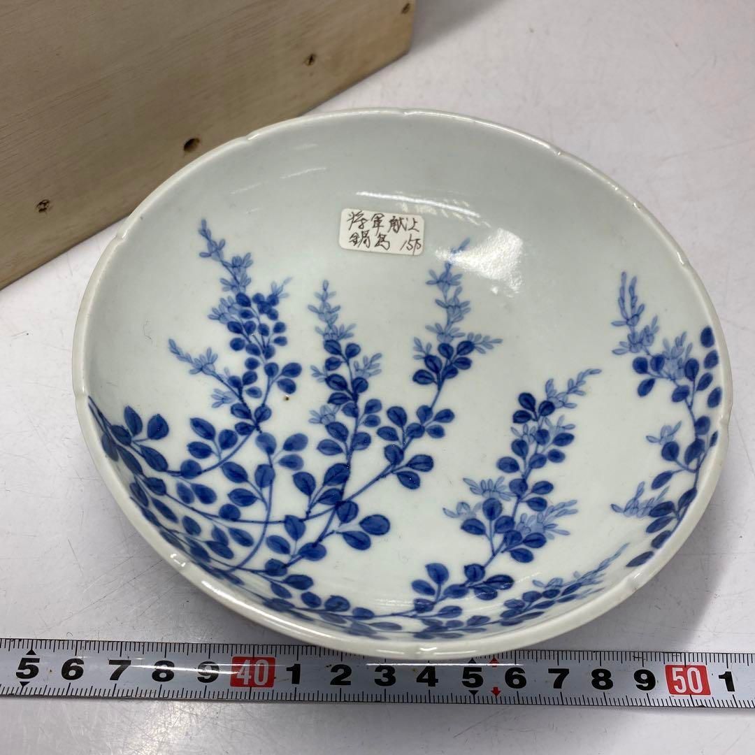 江戸中後期 掲載品 鍋島焼染付輪花 櫛目高台中皿 トコト 本さ5-0709