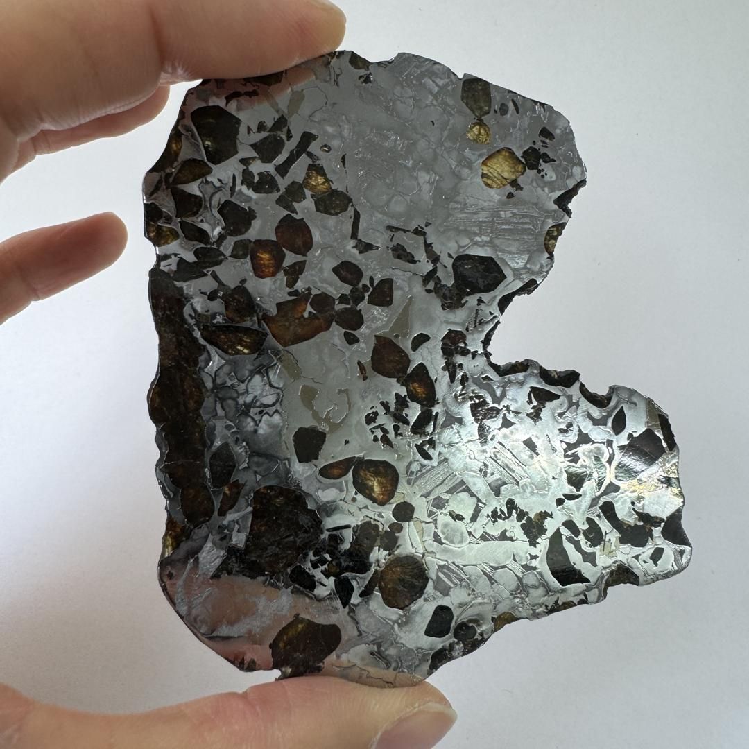 E23043】 パラサイト隕石 セイムチャン パラサイト 隕石 隕鉄 - メルカリ